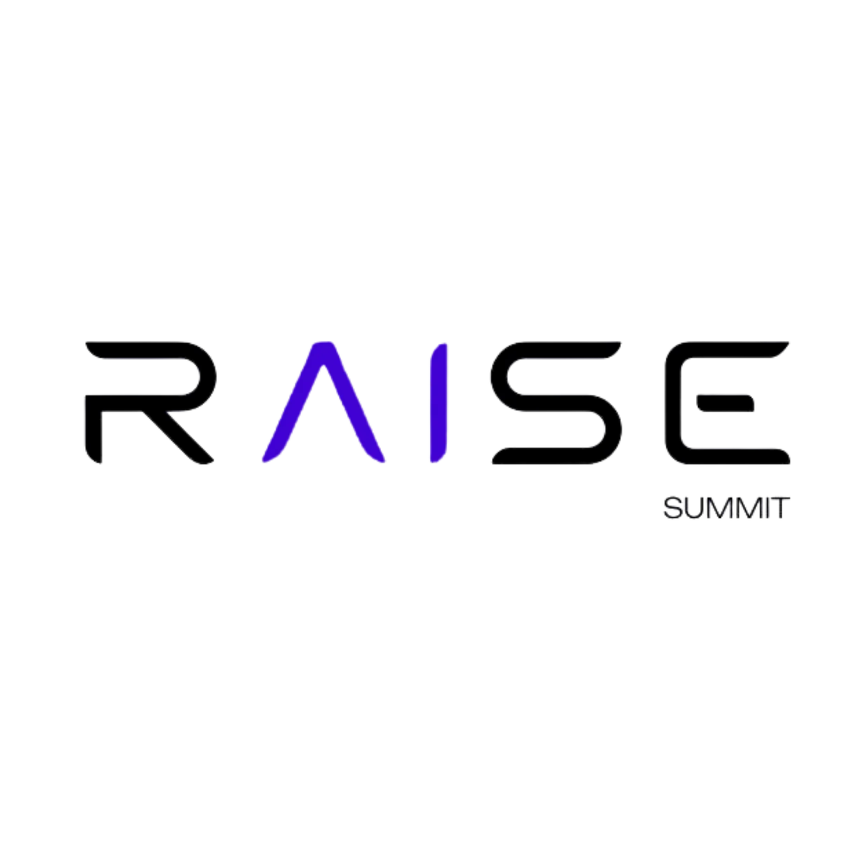 Raise Summit logo
